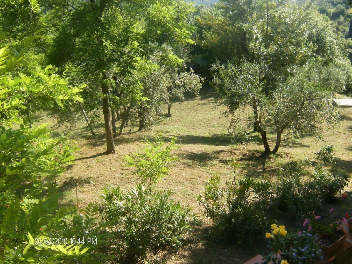 Le Massucce Villa San Casciano in Val di Pesa Exterior photo