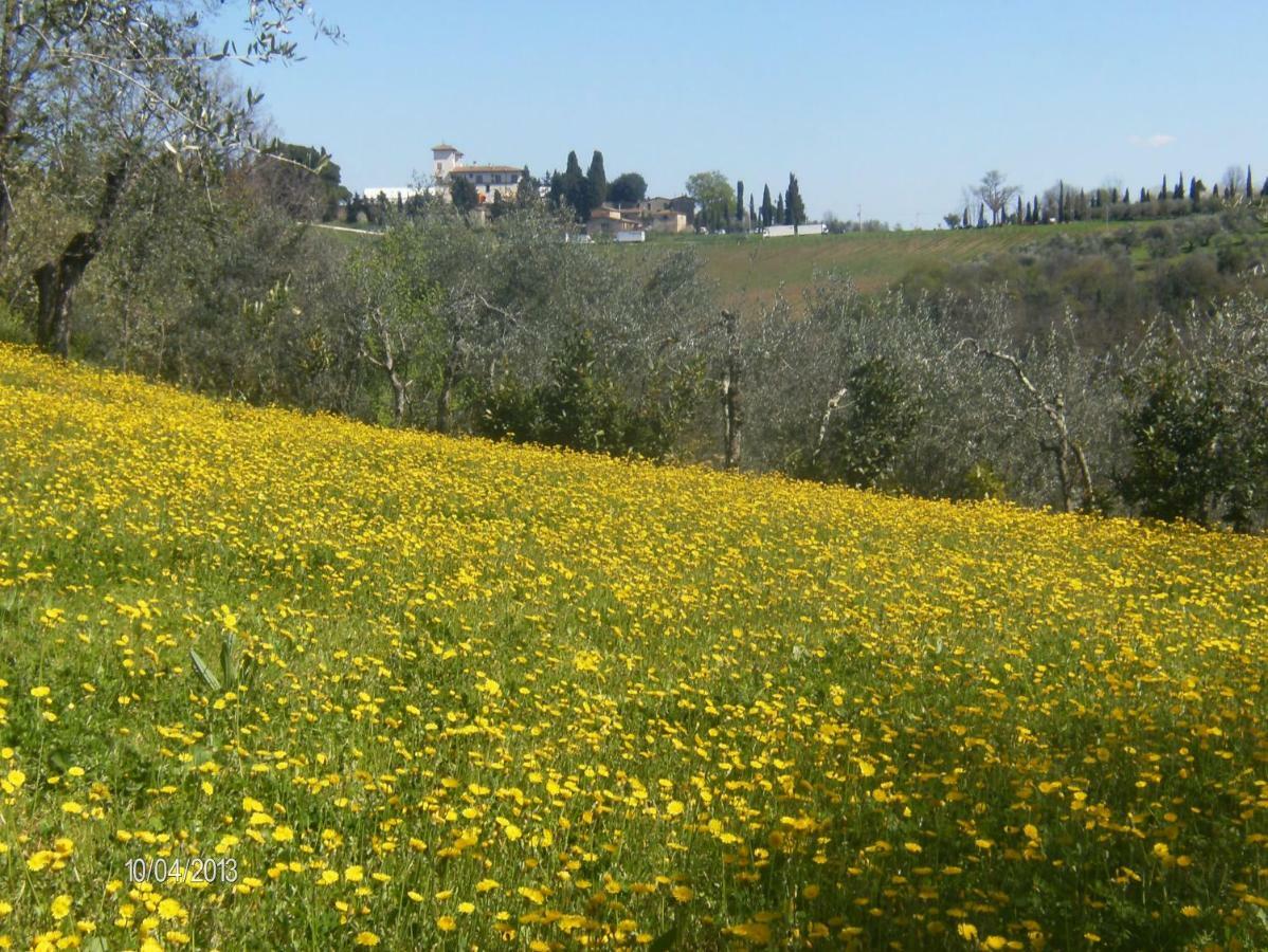 Le Massucce Villa San Casciano in Val di Pesa Exterior photo