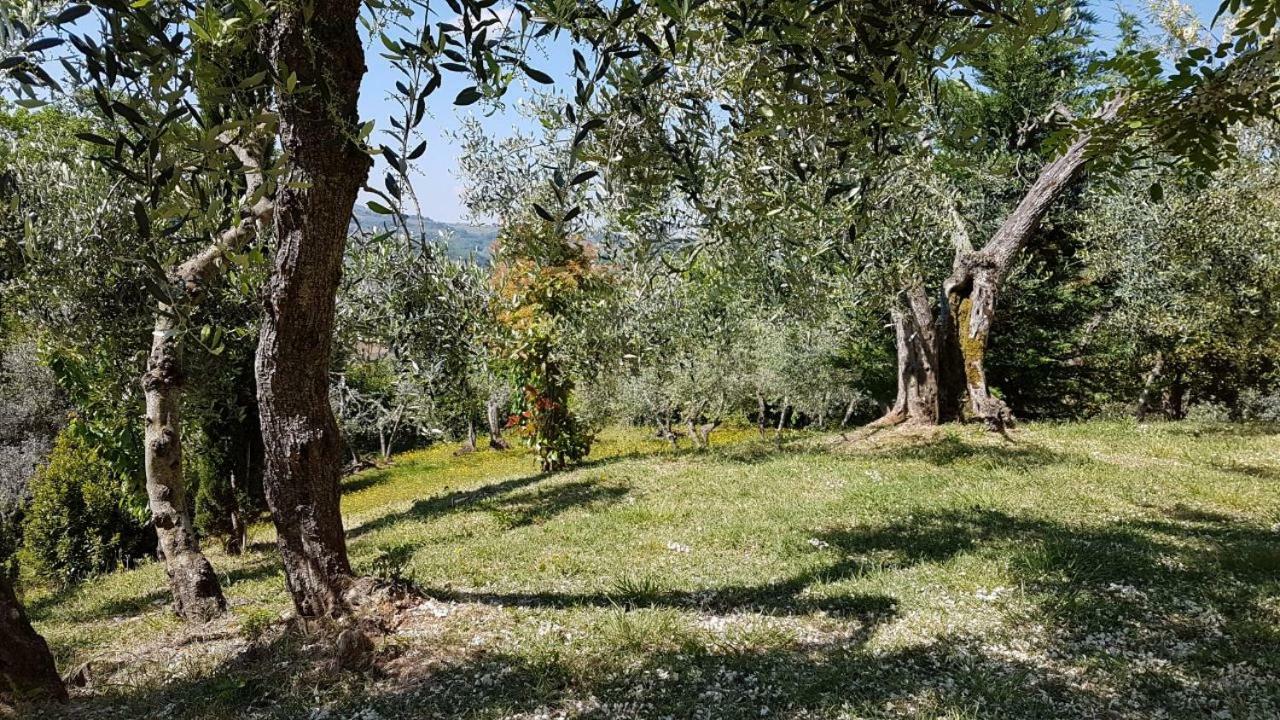 Le Massucce Villa San Casciano in Val di Pesa Exterior photo